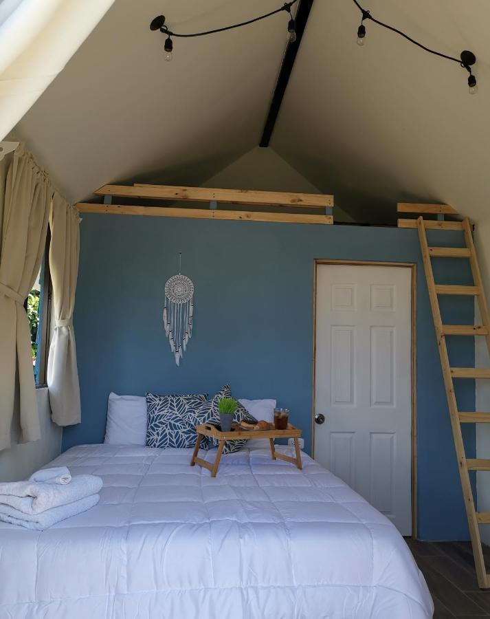 Tiny House Dreamcatcher Сарчи Экстерьер фото